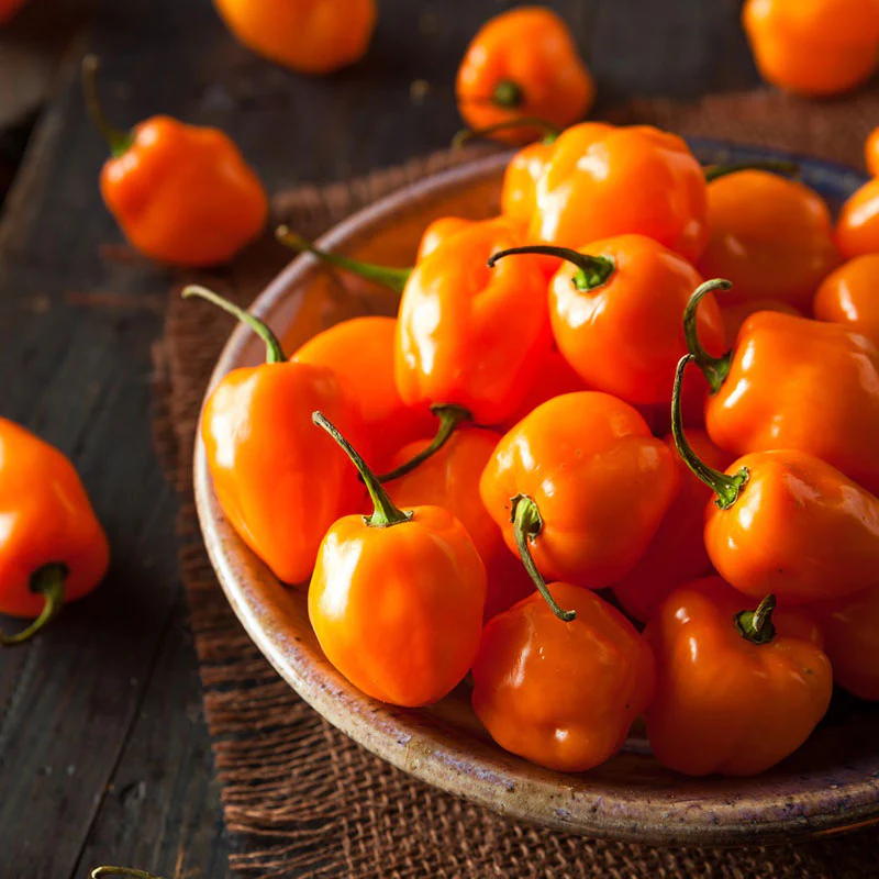 Looking for a Way to Use Up Some Extra Habaneros?