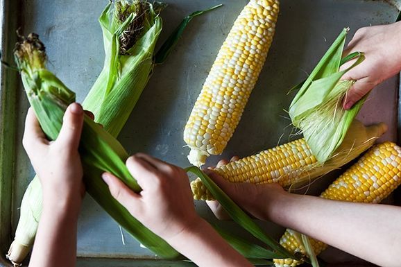 Choosing the Right Corn