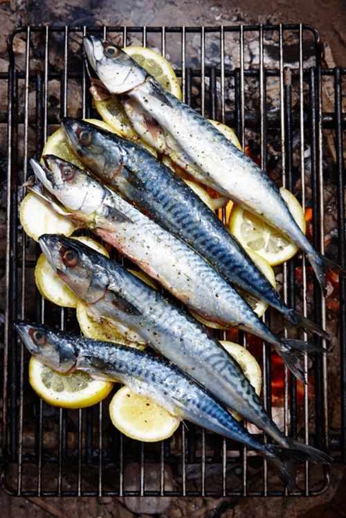 Placing the Mackerel on grill