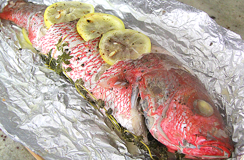 Snapper Wrapped in Foil