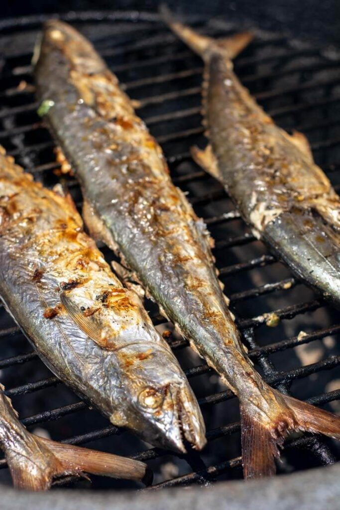 How to Cook Mackerel on BBQ