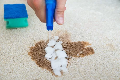 how to get bbq sauce out of carpet 
