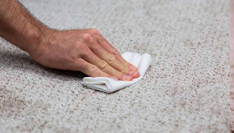 Eliminating BBQ sauce stains from carpet: Blotting Techniques