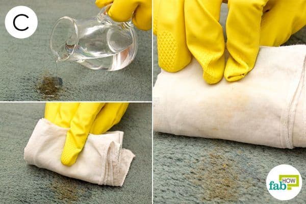 Step-by-Step Cleaning Process to Remove BBQ Sauce Stains from Carpets