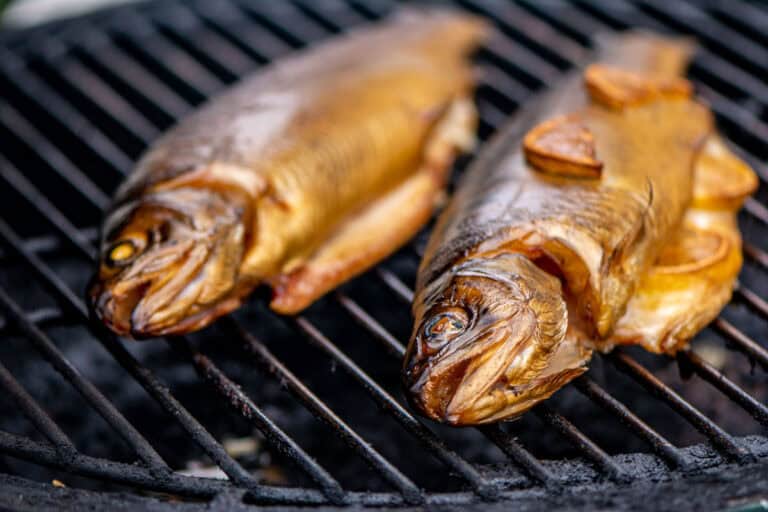 Beginners Guide to Smoked Trout