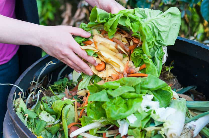 Reducing Food Waste at Your BBQ